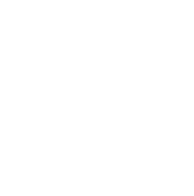 SpaCCor Logo